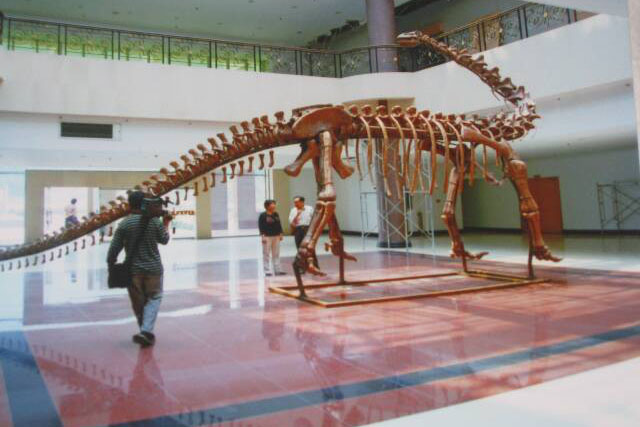 恐龙骨架